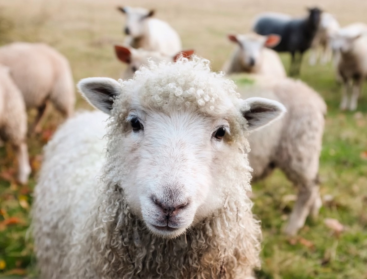 Un premier projet soutenu par le Fonds écoresponsable de la MRC du Val-Saint-François