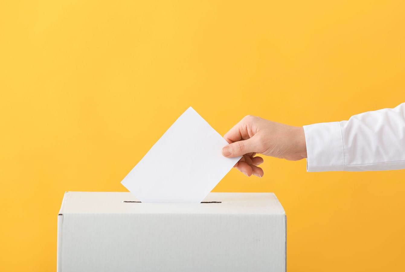 Élection partielle le 22 octobre à Wotton