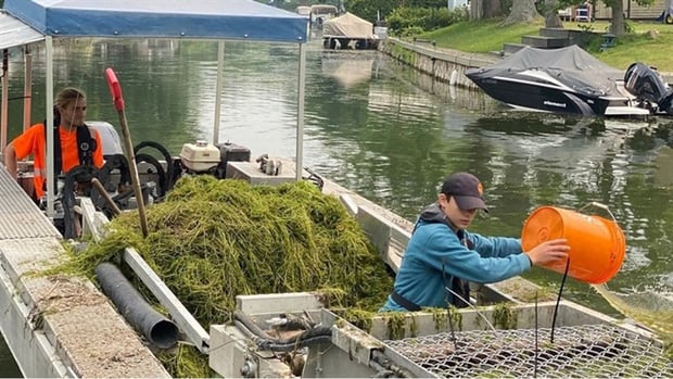 Town of Saint-Zotique spends $700,000 more than planned to dredge three canals  